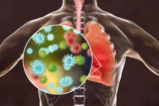 Respiratory Virus Oligo Panel V2